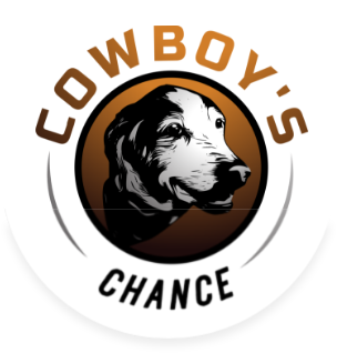 Cowboy's Chance